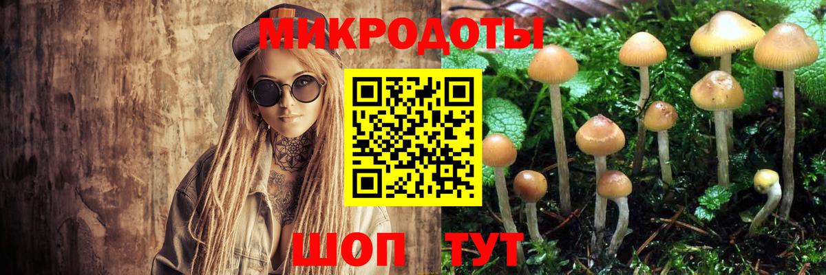 Псилоцибиновые грибы GOLDEN TEACHER Куйбышев