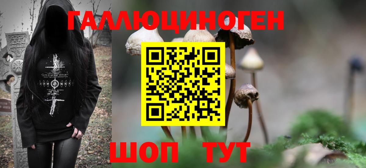 Куйбышев  Галлюциногенные грибы Psilocybe  Вход с VPN  Псилоцибиновые грибы GOLDEN TEACHER 